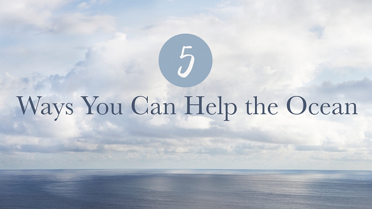 Help the Ocean