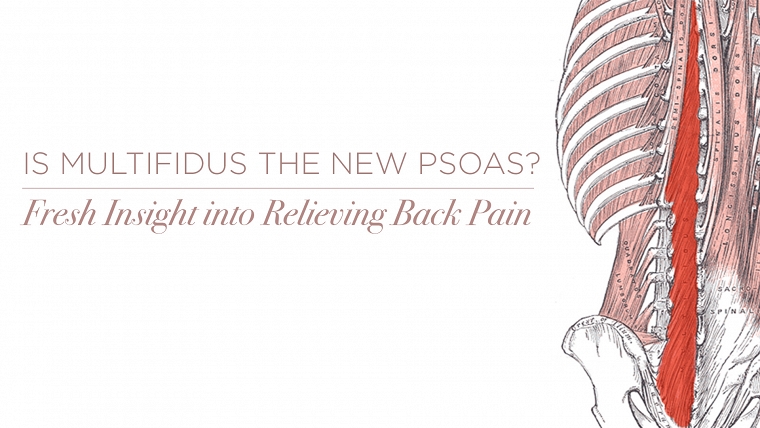 Multifidus Pain