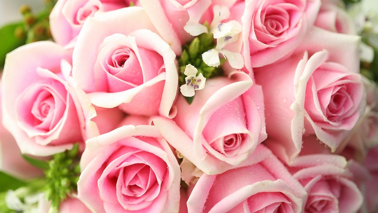 Reduce Your Risk of Breast Cancer