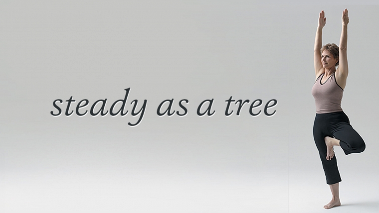 Stability in Tree Pose