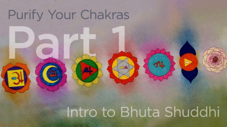 Bhuta Shuddhi