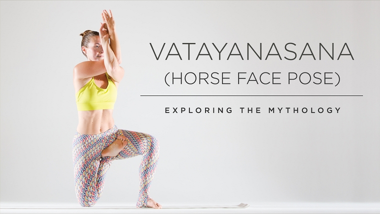horse-face-pose-practice
