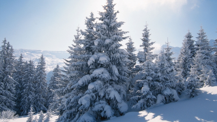 Winter Yoga