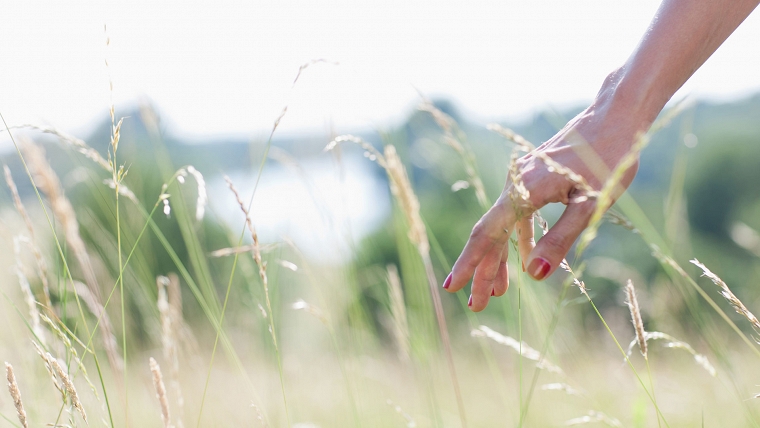 Connect to nature