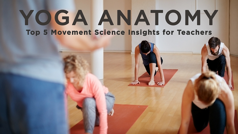 Yoga Anatomy